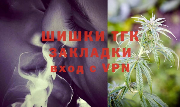 гидра Алексеевка